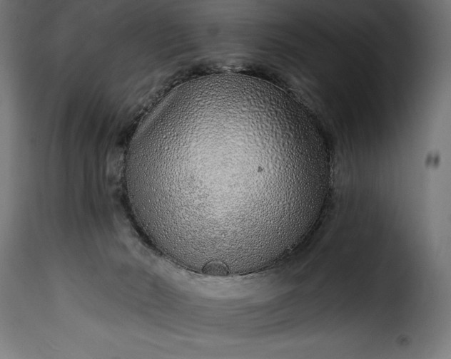 X0000115630030200911241657