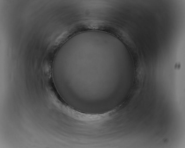 X0000115630031200911241657