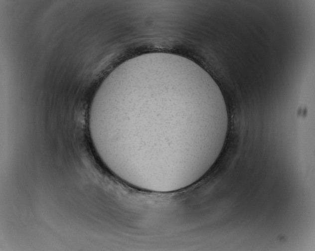 X0000115630032200911241657