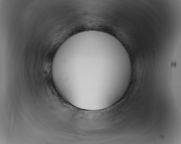 X0000115630033200911241657