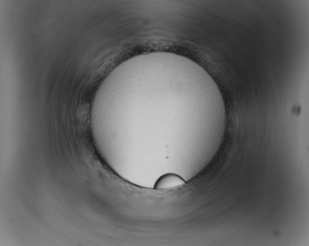 X0000115630034200911241657