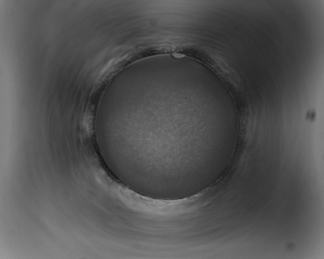 X0000115630035200911241657