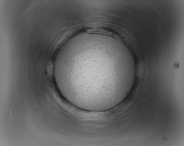 X0000115630036200911241657