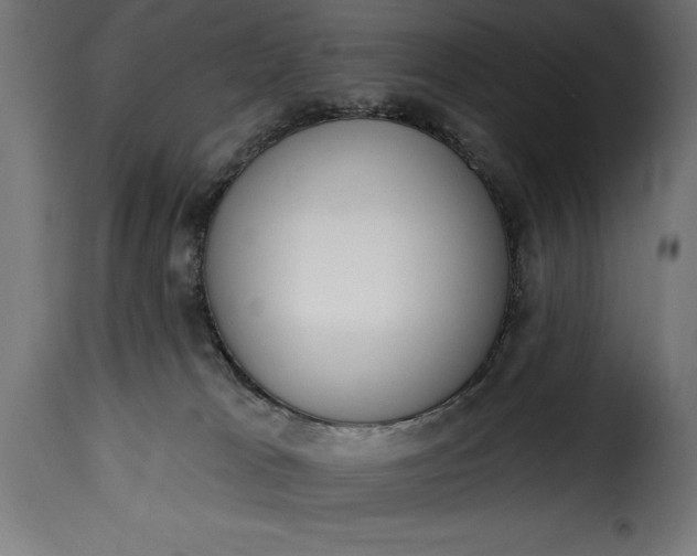 X0000115630037200911241657