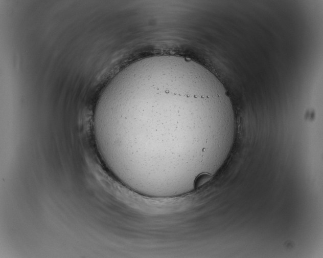 X0000115630038200911241657