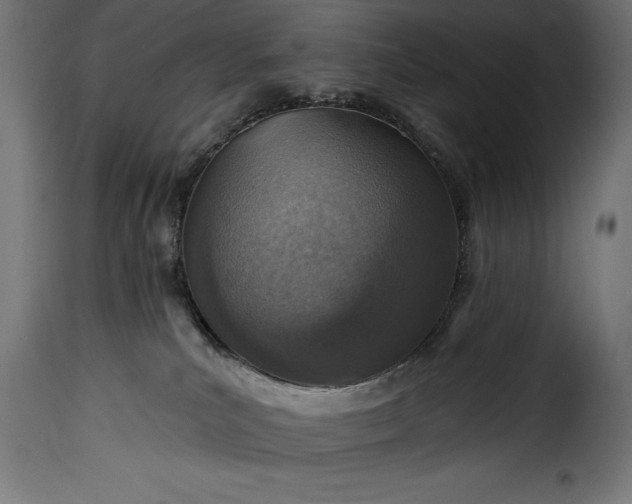 X0000115630039200911241657