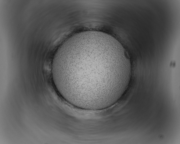 X0000115630040200911241657