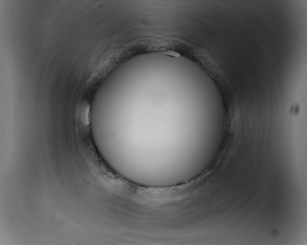 X0000115630041200911241657