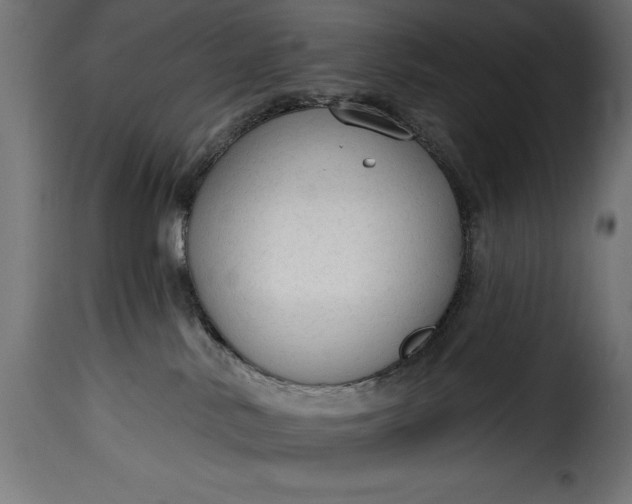 X0000115630042200911241657