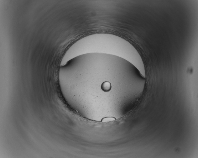 X0000115630043200911241657