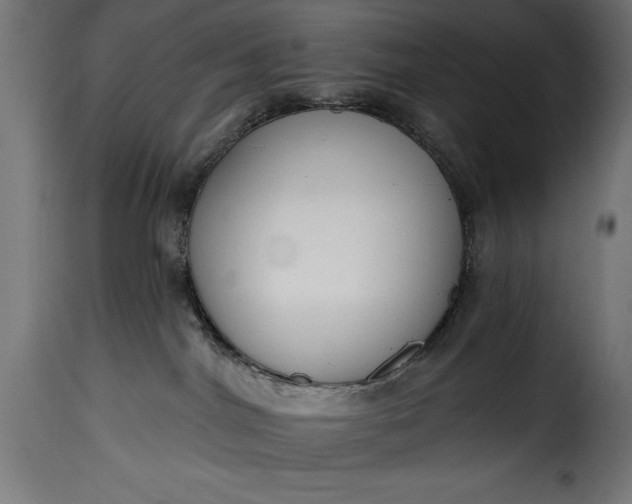 X0000115630044200911241657