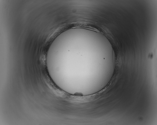 X0000115630045200911241657