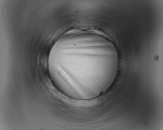 X0000115630046200911241657