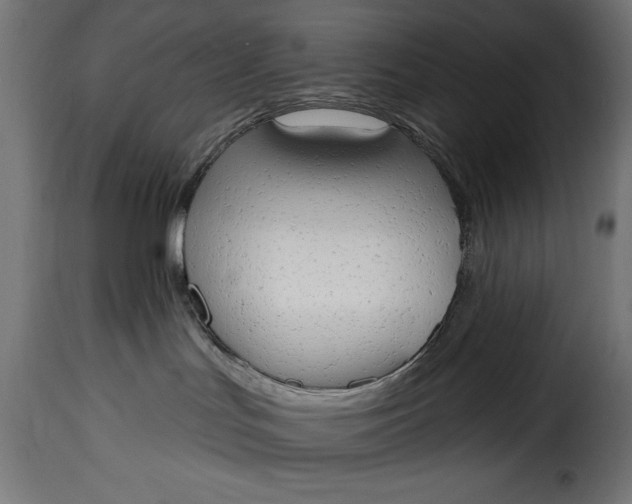 X0000115630047200911241657