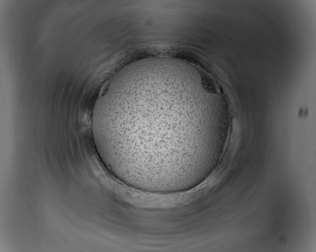 X0000115630048200911241657