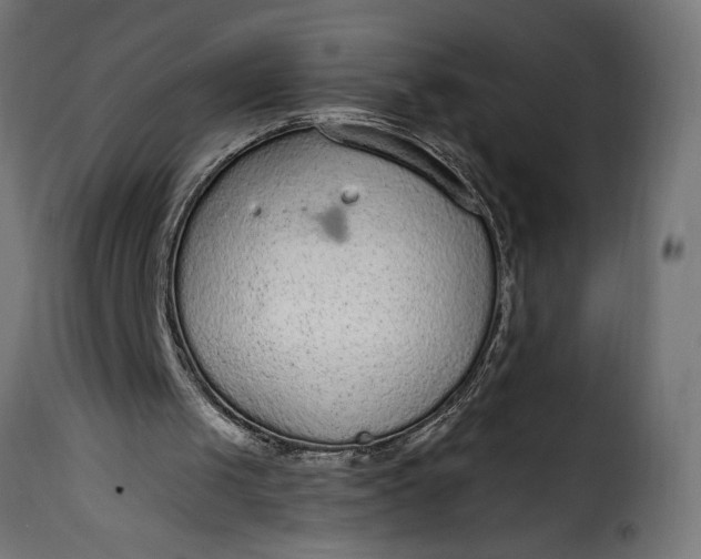 X0000115630049200911241656