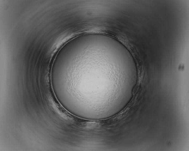 X0000115630050200911241656