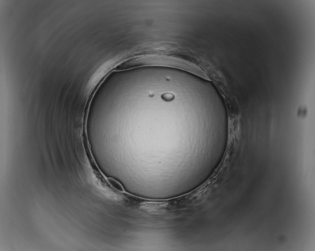 X0000115630051200911241656