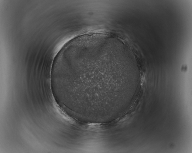 X0000115630052200911241656