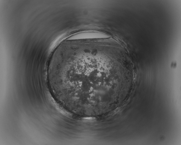 X0000115630053200911241656