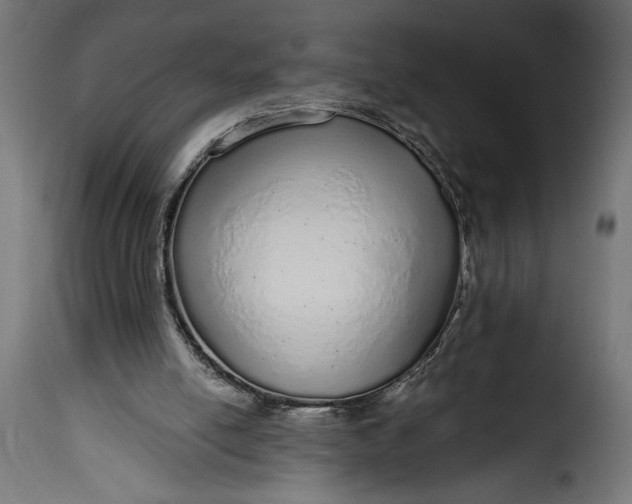 X0000115630054200911241656