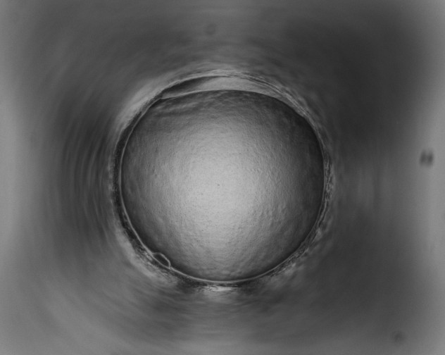 X0000115630055200911241656