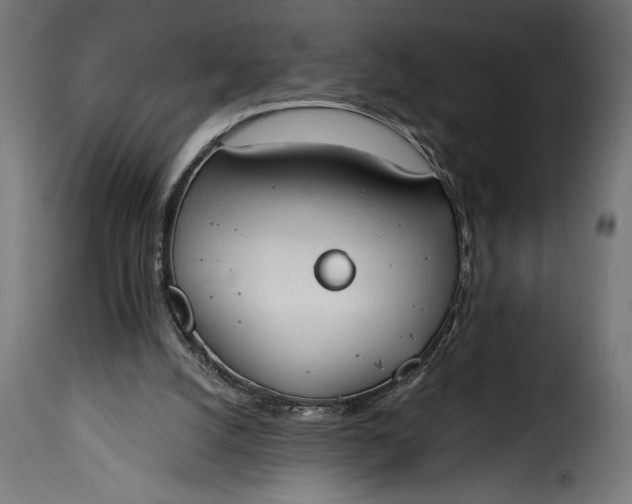 X0000115630056200911241656