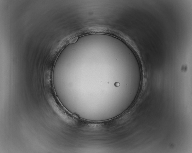 X0000115630057200911241656