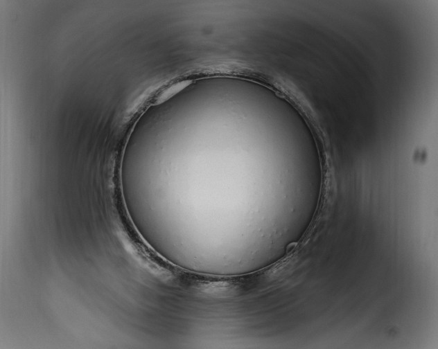 X0000115630058200911241656