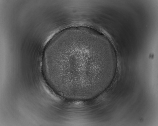 X0000115630059200911241656