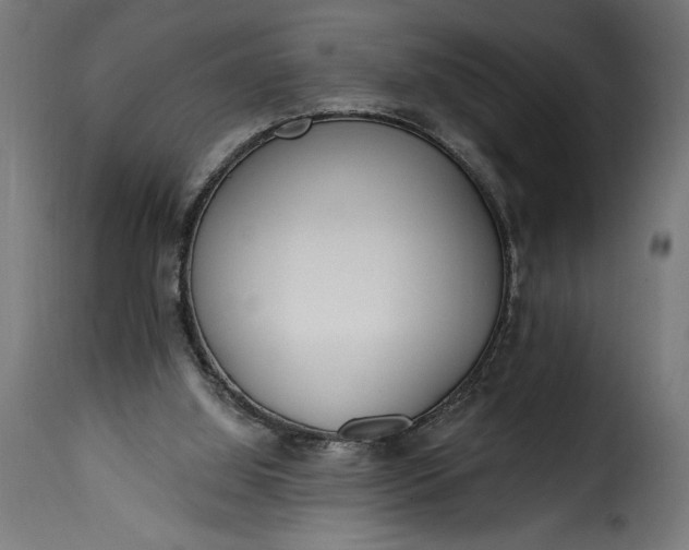 X0000115630060200911241656