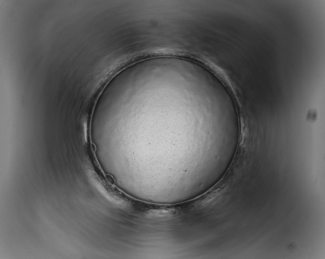 X0000115630061200911241656