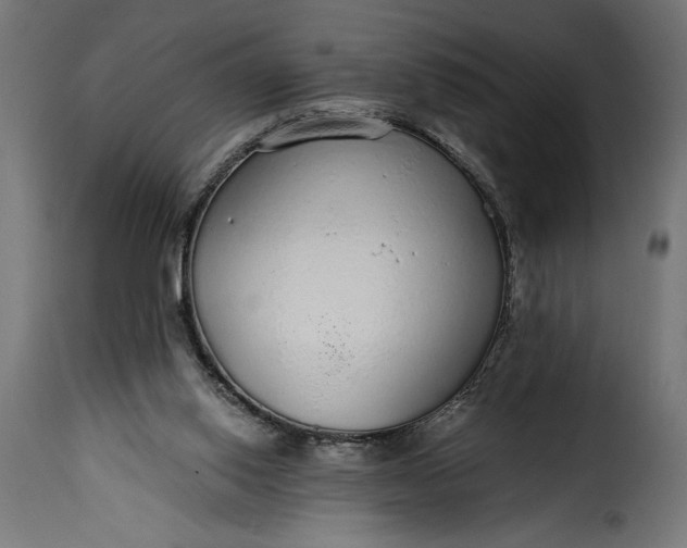 X0000115630062200911241656