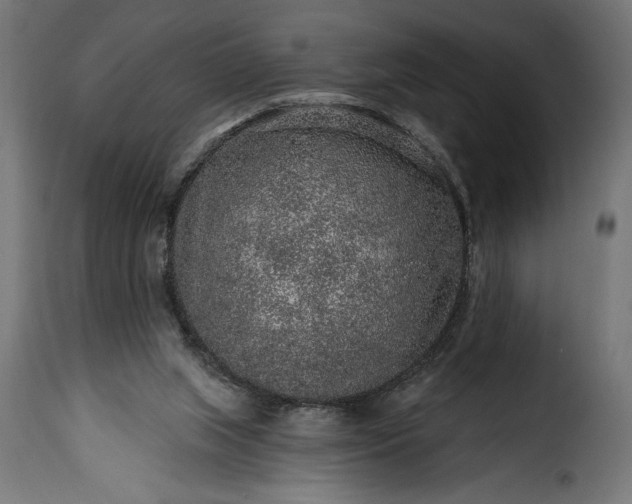 X0000115630063200911241656