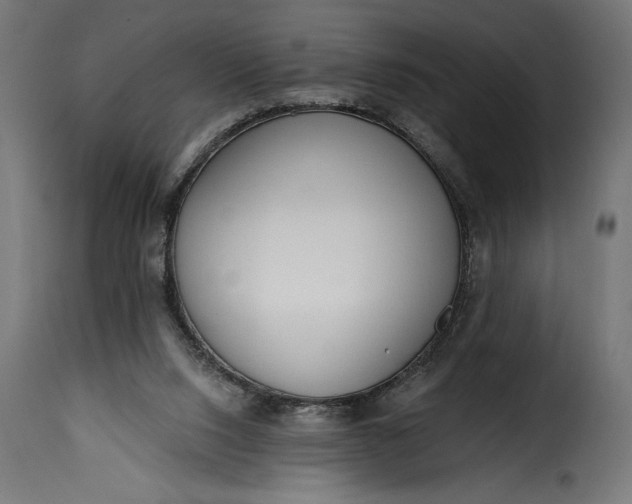 X0000115630064200911241656