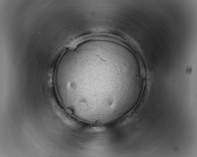 X0000115630065200911241656