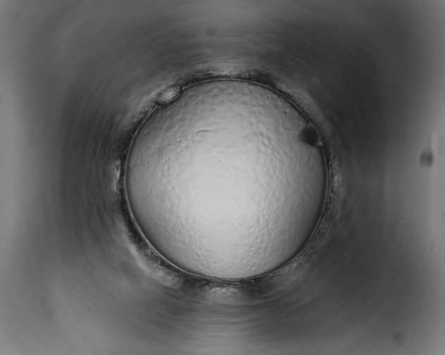 X0000115630066200911241656