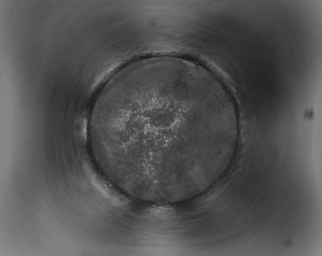 X0000115630067200911241656