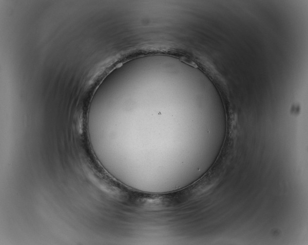 X0000115630068200911241656