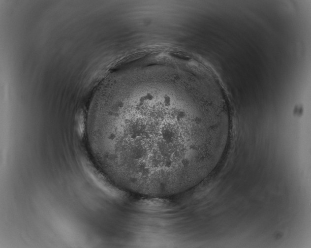 X0000115630069200911241656