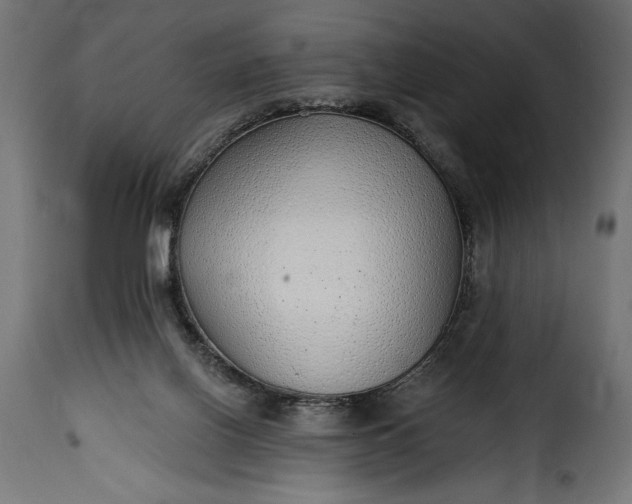 X0000115630070200911241656