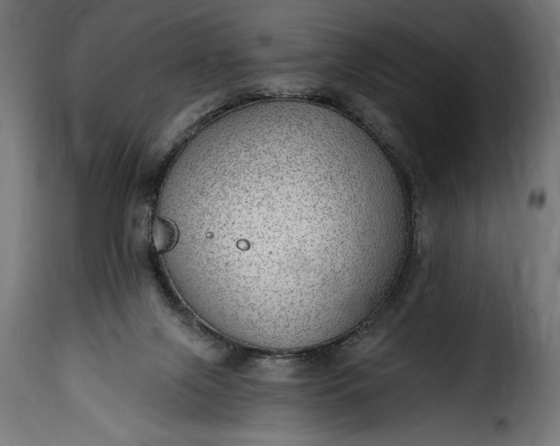 X0000115630071200911241656