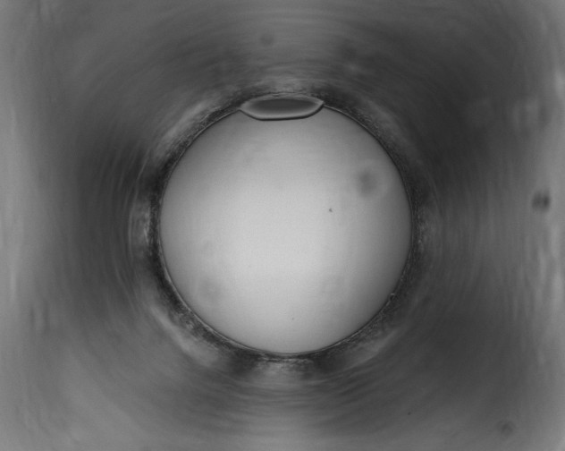 X0000115630072200911241656