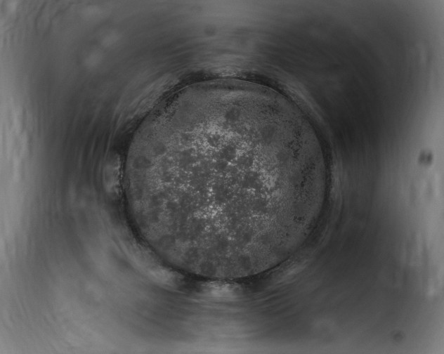 X0000115630073200911241656