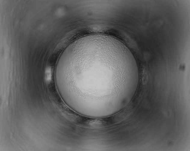 X0000115630075200911241656