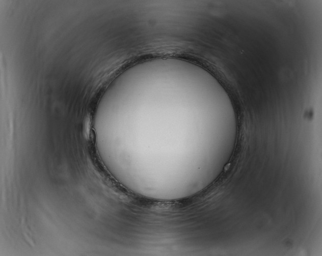 X0000115630076200911241656