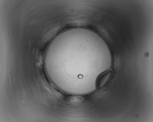 X0000115630077200911241656