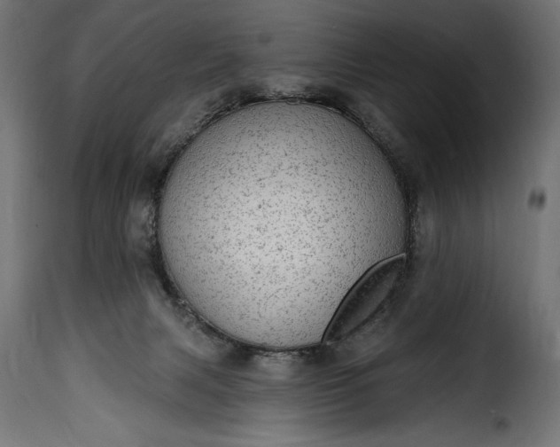 X0000115630079200911241656