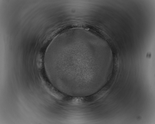 X0000115630080200911241656