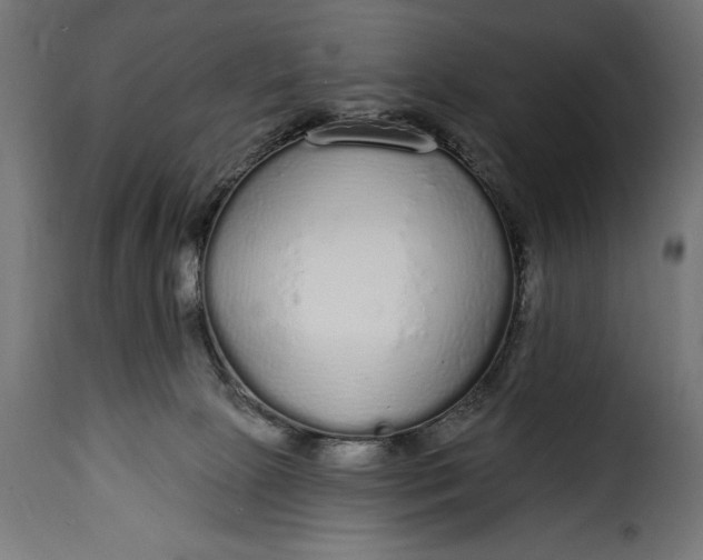 X0000115630081200911241656